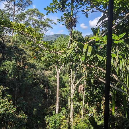 Ella Jungle Inn Homestay And Tree House Ngoại thất bức ảnh