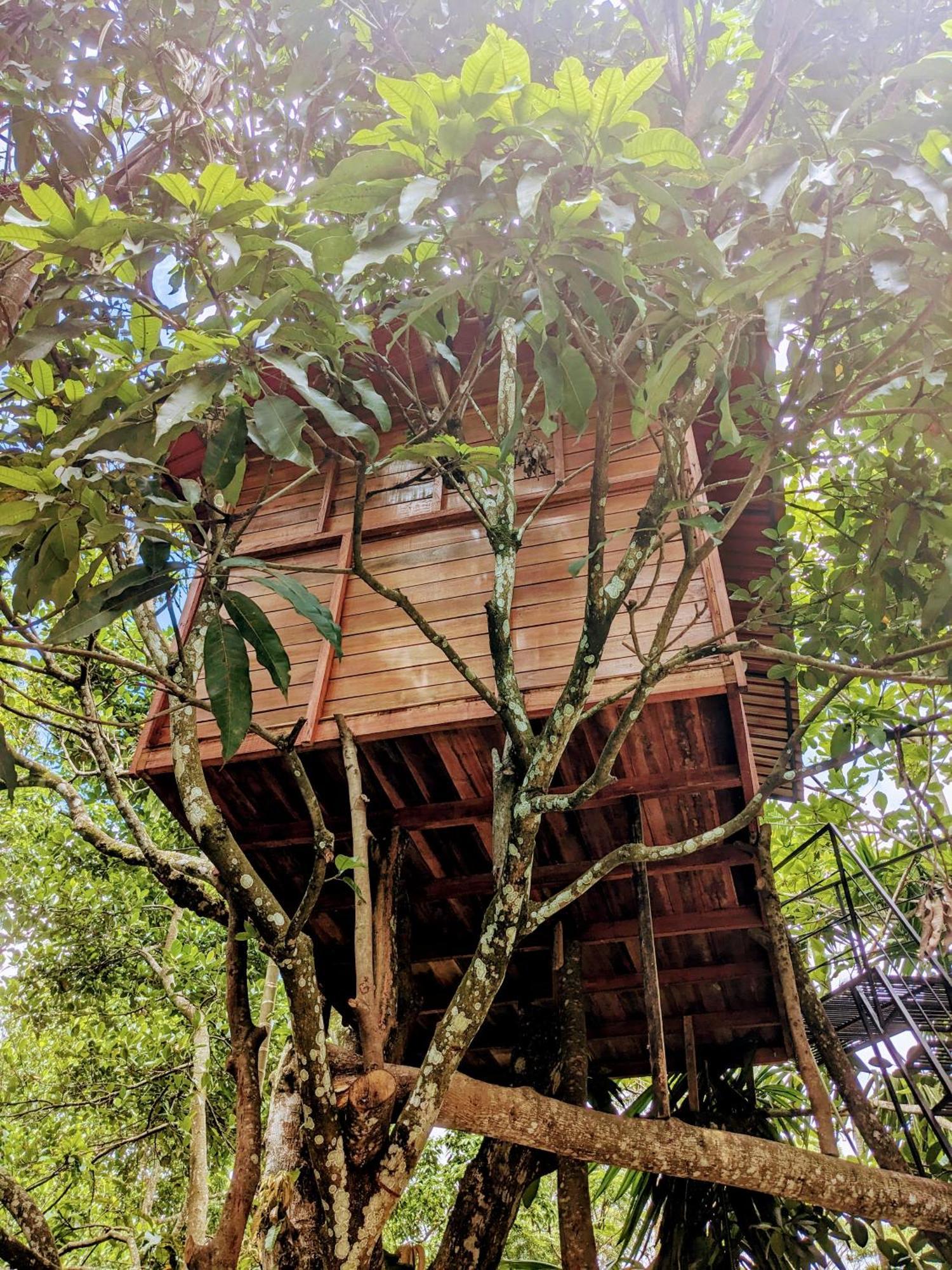 Ella Jungle Inn Homestay And Tree House Ngoại thất bức ảnh
