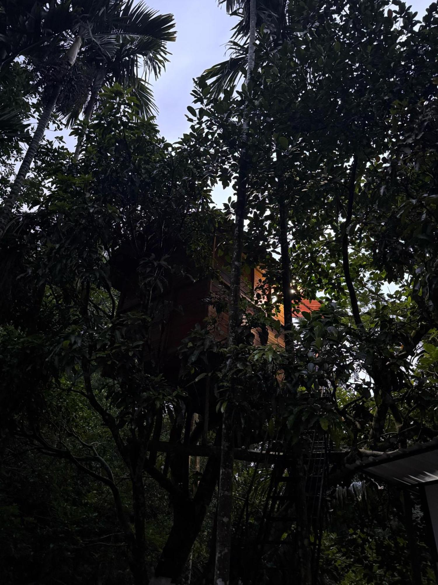 Ella Jungle Inn Homestay And Tree House Ngoại thất bức ảnh