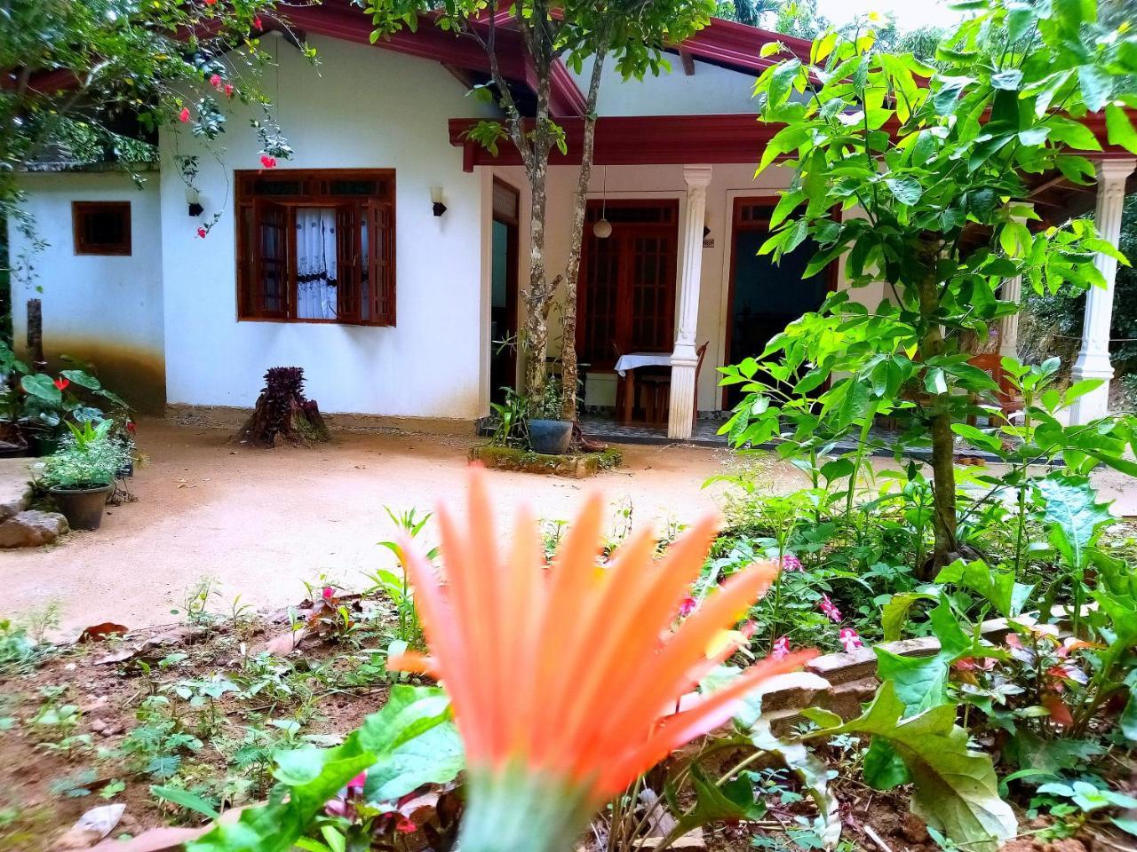 Ella Jungle Inn Homestay And Tree House Ngoại thất bức ảnh